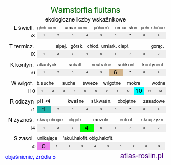 ekologiczne liczby wskaźnikowe Warnstorfia fluitans (warnstorfia pływająca)