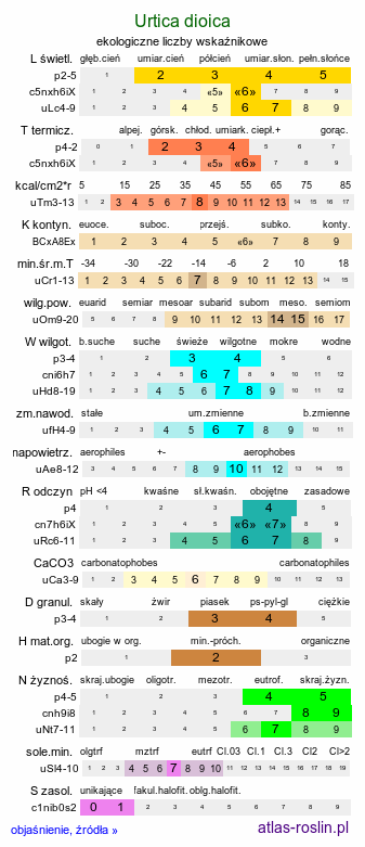 ekologiczne liczby wskaźnikowe Urtica dioica (pokrzywa zwyczajna)