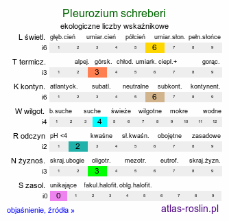 ekologiczne liczby wskaźnikowe Pleurozium schreberi (rokietnik pospolity)