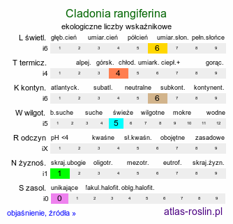 ekologiczne liczby wskaźnikowe Cladonia rangiferina (chrobotek reniferowy [porost])