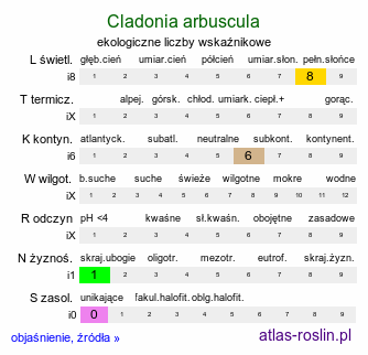 ekologiczne liczby wskaźnikowe Cladonia arbuscula (chrobotek leśny [porost])