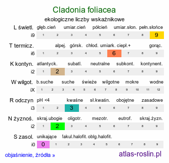 ekologiczne liczby wskaźnikowe Cladonia foliacea (porost)