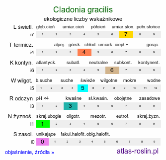 ekologiczne liczby wskaźnikowe Cladonia gracilis (porost)