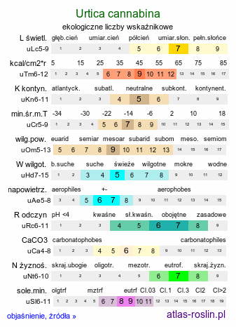 ekologiczne liczby wskaźnikowe Urtica cannabina (pokrzywa konopiolistna)