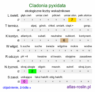 ekologiczne liczby wskaźnikowe Cladonia pyxidata (chrobotek kubkowaty [porost])