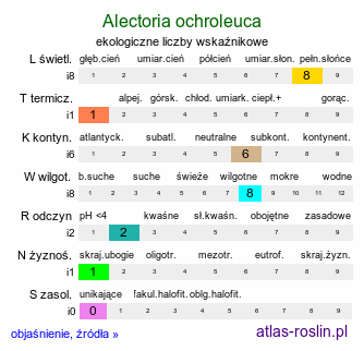ekologiczne liczby wskaźnikowe Alectoria ochroleuca (porost)