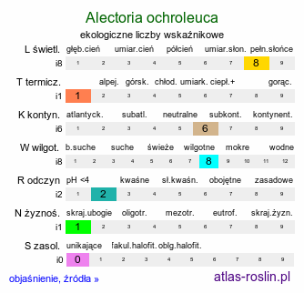 ekologiczne liczby wskaźnikowe Alectoria ochroleuca (porost)