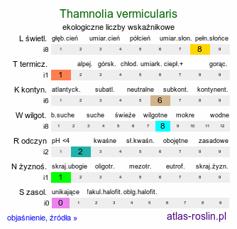 ekologiczne liczby wskaźnikowe Thamnolia vermicularis (porost)