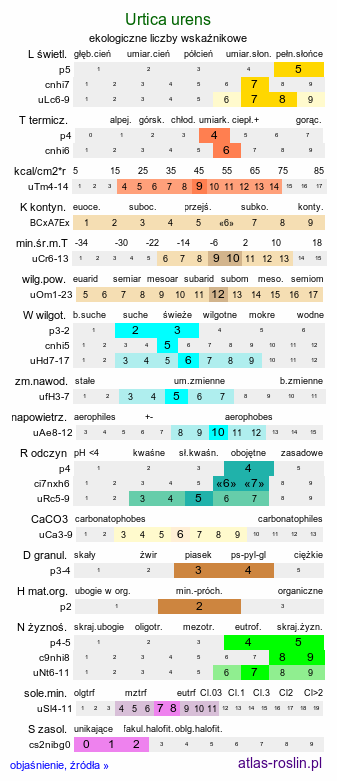 ekologiczne liczby wskaźnikowe Urtica urens (pokrzywa żegawka)