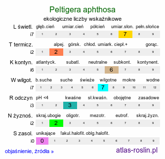 ekologiczne liczby wskaźnikowe Peltigera aphthosa (pawężnica brodawkowata [porost])