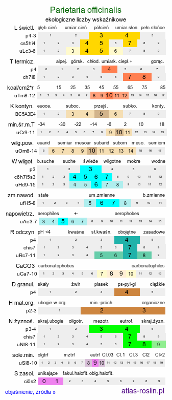 ekologiczne liczby wskaźnikowe Parietaria officinalis (parietaria lekarska)