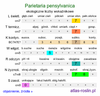 ekologiczne liczby wskaźnikowe Parietaria pensylvanica (parietaria pensylwańska)