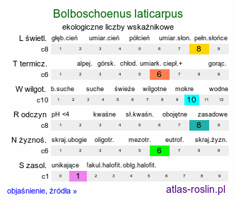 ekologiczne liczby wskaźnikowe Bolboschoenus laticarpus