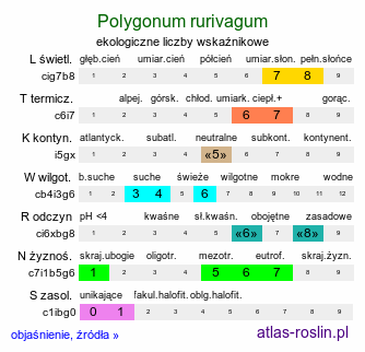 ekologiczne liczby wskaźnikowe Polygonum rurivagum (rdest zmienny)