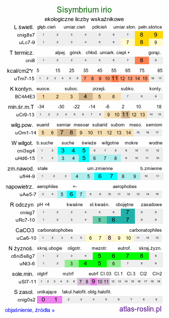 ekologiczne liczby wskaźnikowe Sisymbrium irio (stulisz gładki)