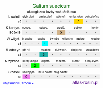 ekologiczne liczby wskaźnikowe Galium suecicum (przytulia szwedzka)
