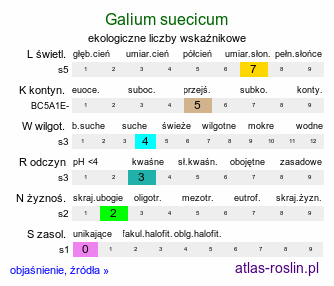 ekologiczne liczby wskaźnikowe Galium suecicum (przytulia szwedzka)