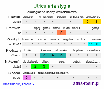 ekologiczne liczby wskaźnikowe Utricularia stygia