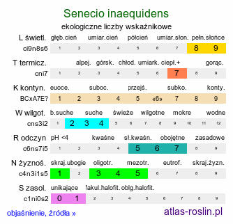 ekologiczne liczby wskaźnikowe Senecio inaequidens (starzec nierównozębny)