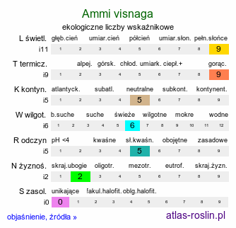 ekologiczne liczby wskaźnikowe Ammi visnaga (aminek egipski)