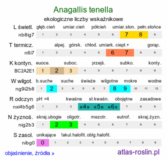 ekologiczne liczby wskaźnikowe Anagallis tenella (kurzyślad wątły)