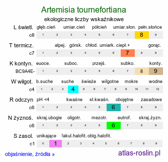 ekologiczne liczby wskaźnikowe Artemisia tournefortiana (bylica Tourneforta)