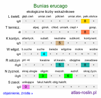 ekologiczne liczby wskaźnikowe Bunias erucago (rukiewnik rokietowy)