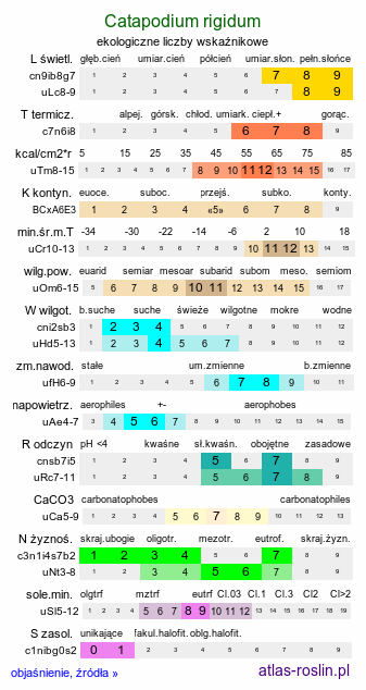 ekologiczne liczby wskaźnikowe Catapodium rigidum (skleropoa sztywna)