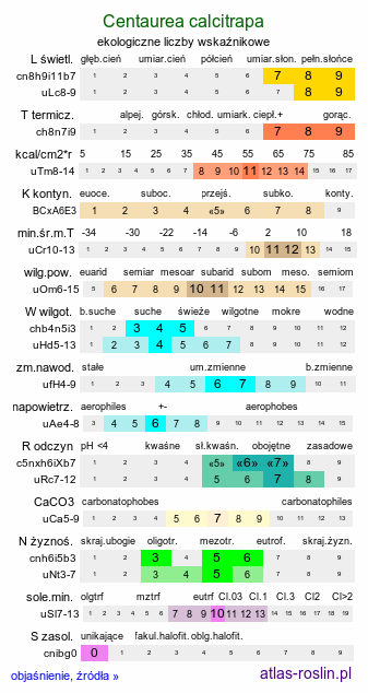 ekologiczne liczby wskaźnikowe Centaurea calcitrapa (chaber kolący)