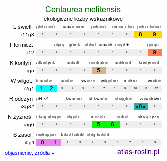 ekologiczne liczby wskaźnikowe Centaurea melitensis (chaber maltański)