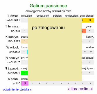 ekologiczne liczby wskaźnikowe Galium parisiense (przytulia śródziemnomorska)
