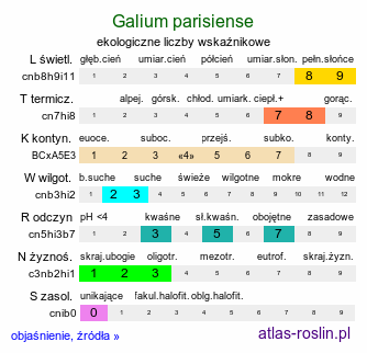 ekologiczne liczby wskaźnikowe Galium parisiense (przytulia śródziemnomorska)