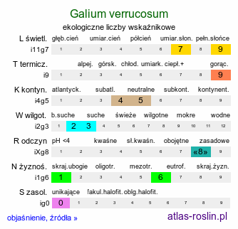 ekologiczne liczby wskaźnikowe Galium verrucosum (przytulia wielkoowockowa)