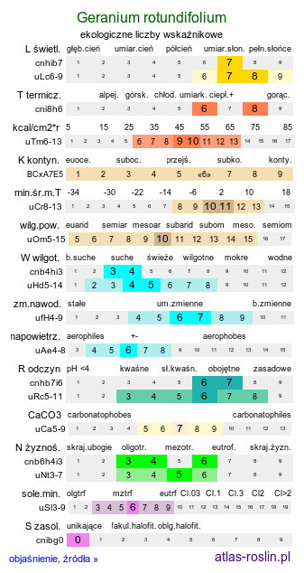 ekologiczne liczby wskaźnikowe Geranium rotundifolium (bodziszek okrągłolistny)