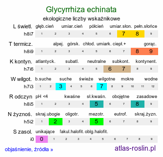 ekologiczne liczby wskaźnikowe Glycyrrhiza echinata (lukrecja najeżona)