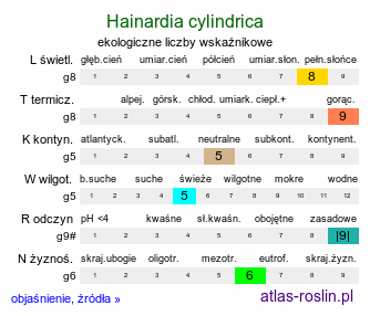 ekologiczne liczby wskaźnikowe Hainardia cylindrica (hajnardia walcowata)