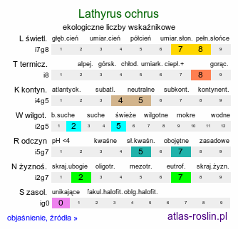 ekologiczne liczby wskaźnikowe Lathyrus ochrus (groszek bladożółty)