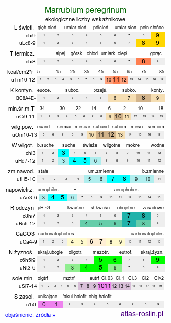 ekologiczne liczby wskaźnikowe Marrubium peregrinum (szanta obca)