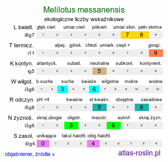 ekologiczne liczby wskaźnikowe Melilotus messanensis (nostrzyk messyński)