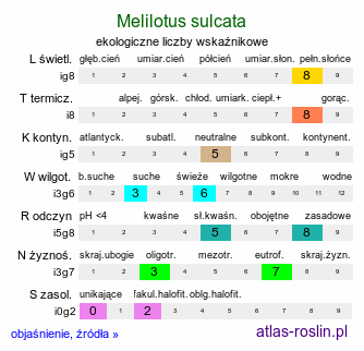 ekologiczne liczby wskaźnikowe Melilotus sulcata (nostrzyk bruzdkowany)