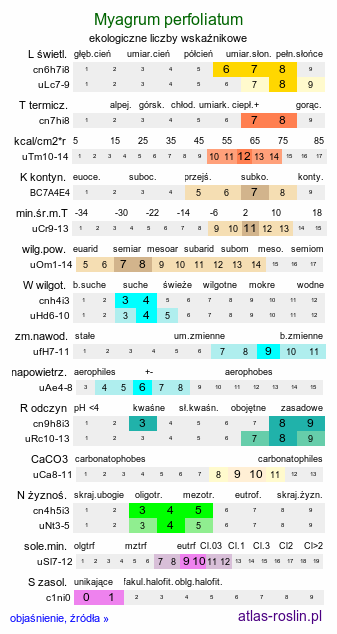 ekologiczne liczby wskaźnikowe Myagrum perfoliatum (reż krowia)