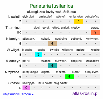 ekologiczne liczby wskaźnikowe Parietaria lusitanica (parietaria portugalska)