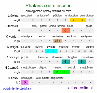 ekologiczne liczby wskaźnikowe Phalaris coerulescens (mozga błękitnawa)