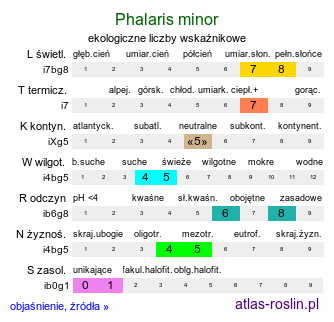 ekologiczne liczby wskaźnikowe Phalaris minor (mozga drobna)