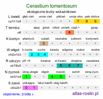 ekologiczne liczby wskaźnikowe Cerastium tomentosum (rogownica kutnerowata)