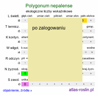 ekologiczne liczby wskaźnikowe Polygonum nepalense (rdest nepalski)
