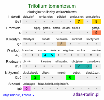 ekologiczne liczby wskaźnikowe Trifolium tomentosum (koniczyna kutnerowata)