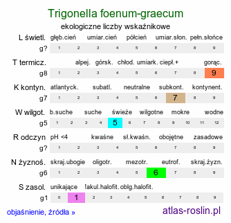 ekologiczne liczby wskaźnikowe Trigonella foenum-graecum (kozieradka pospolita)