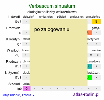 ekologiczne liczby wskaźnikowe Verbascum sinuatum (dziewanna zatokowata)