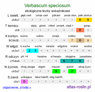 ekologiczne liczby wskaźnikowe Verbascum speciosum (dziewanna okazała)